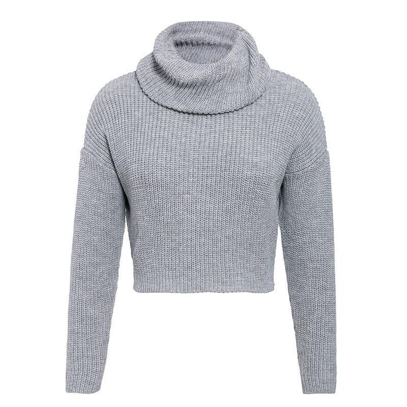 Crop Top Col Roulé Gris