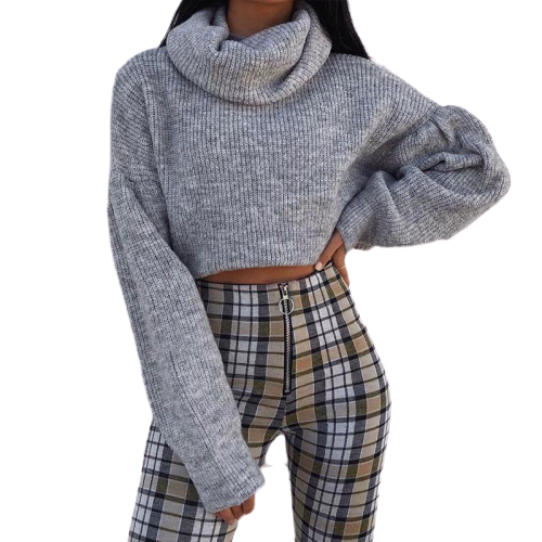 Crop-Top Col Roule Gris