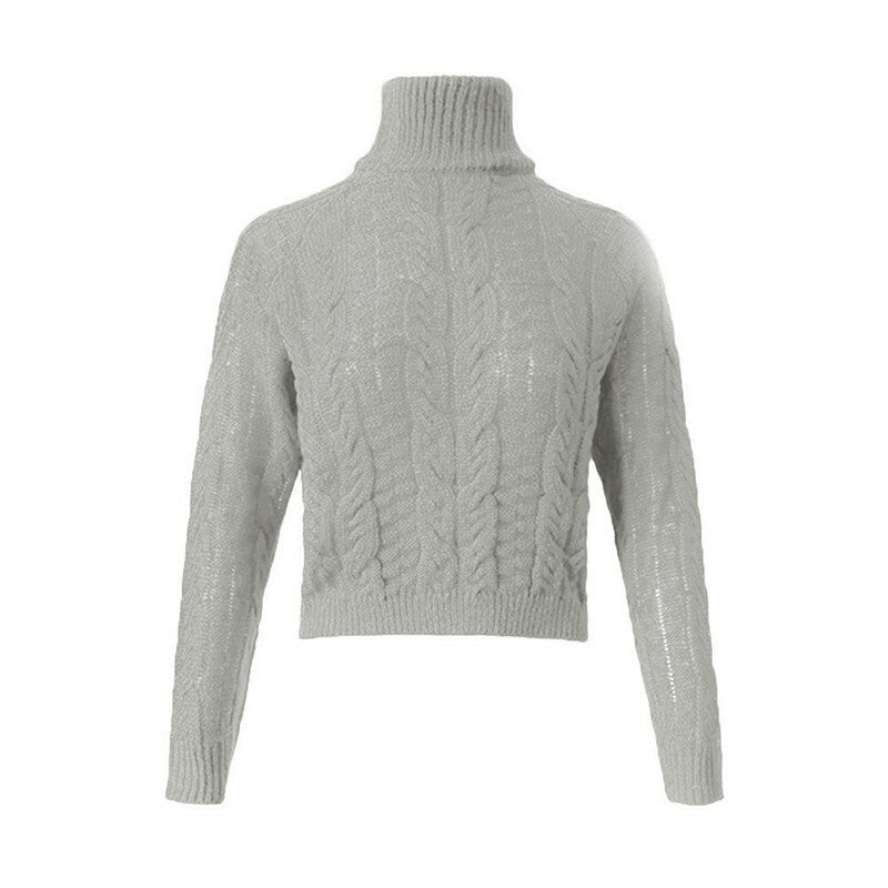 Pull Col Roulé Femme Gris Clair