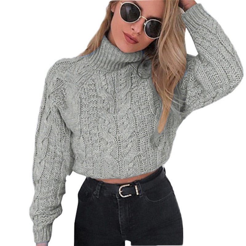 Pull Col Roulé Femme Grise Claire