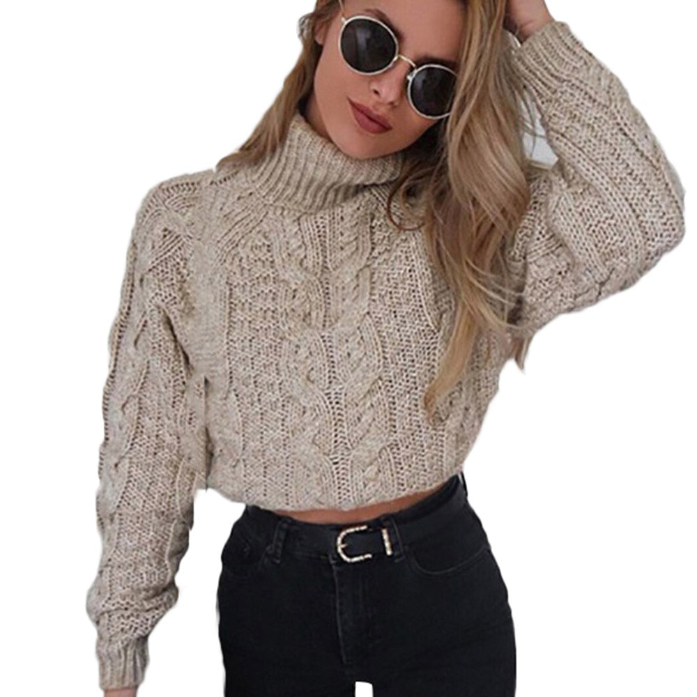 Pull Col Roulé Beige