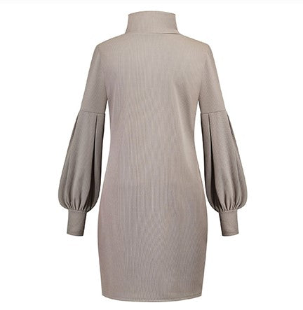 Robe Pull Col Roulé Gris
