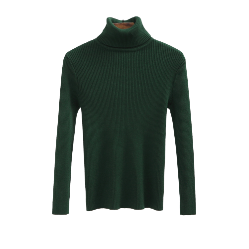 Col Roulé Vert Femme