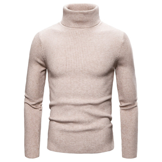 Pull Col Roulé Beige Homme