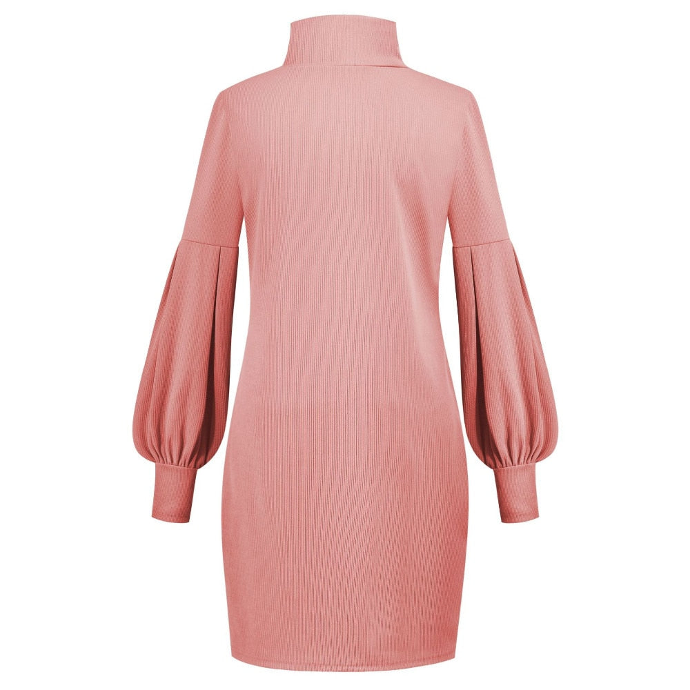 Robe Pull Col Roule Rose