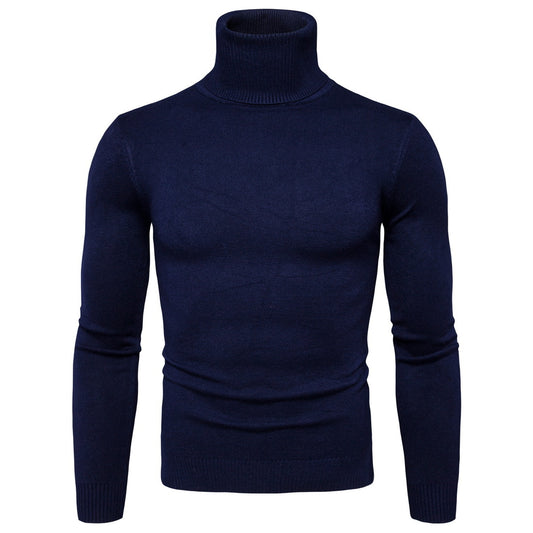 Col Roulé Bleu Marine Homme